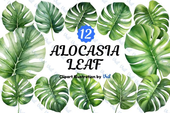 Alocasia Leaf Clipart Watercolor Bundle