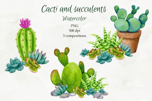Cacti Watercolor Sublimation: Font for Designers