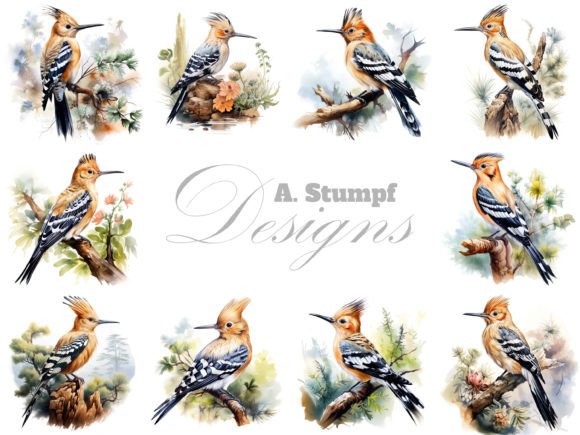 Hoopoe Clipart Watercolor Bird Bundle