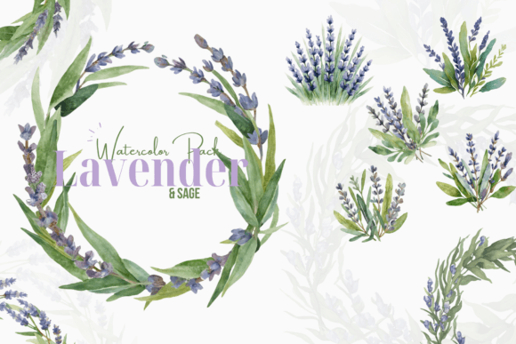 Lavender and Sage Watercolor Clipart