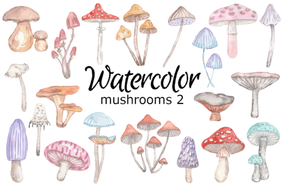 Mushrooms Watercolor Clipart: A Designer's Toolkit for Natural, Whimsical Branding