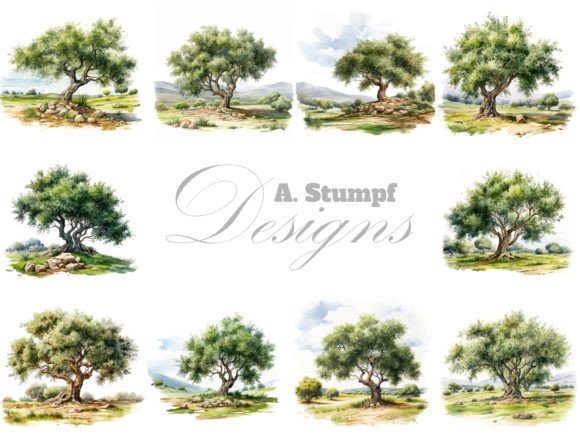 Olive Tree Watercolor Clipart Bundle