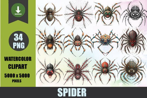 Spider Watercolor Clipart Bundle