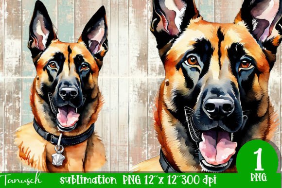 Watercolor Belgian Malinois Sublimation: A Designer's Guide to This Expressive Typeface