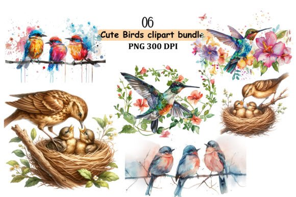 Watercolor Bird Illustrations PNG Bundle
