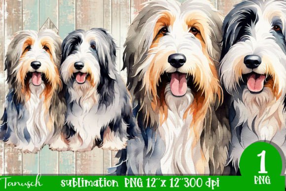 Watercolor Boarded Collie Sublimation: Art Meets Typography