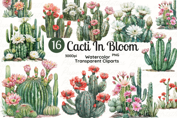 Watercolor Cacti in Bloom: A Practical Guide to This Charming Clipart Set