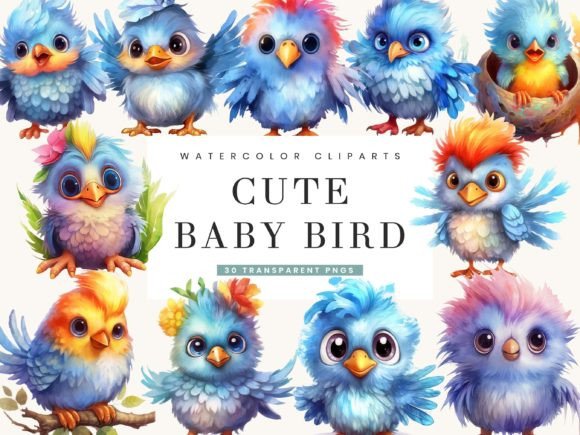 Watercolor Cute Baby Bird Clipart Bundle