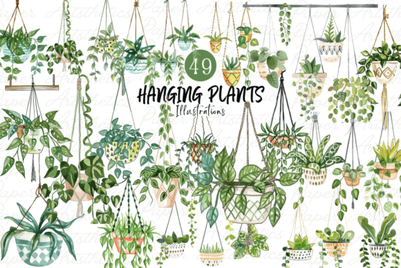 Watercolor Hanging Plants Clipart Bundle