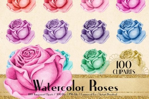 Watercolor Roses Clip Arts PNG for Designers and Creatives