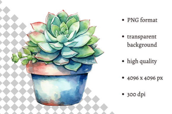 Watercolor Succulent in a Pot Clipart
