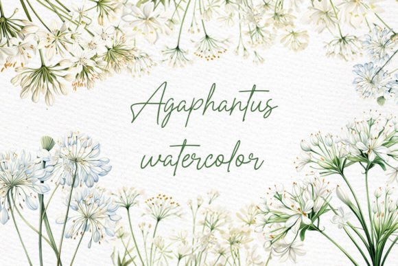 White Wild Flowers Clipart Watercolor